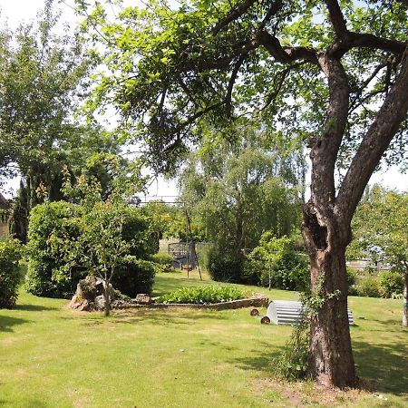 La Ferme Du Bourg Bed & Breakfast Eraines Ngoại thất bức ảnh